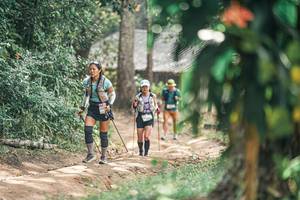 BIB: 
                            <button type="button" onclick="openModal(25275839)" class="btn btn-primary btn-sm float-right btn-popup" data-toggle="modal" data-target=".modal-high-quality">
                        <i class="fas fa-shopping-cart"></i> Add to Cart
                    </button>
                                            <button type="button" onclick="isThisMe(25275839, true)" class="btn btn-success btn-sm float-right btn-popup btn-isme hidden" data-toggle="tooltip" data-placement="bottom" title="นี่คือรูปของคุณใช่ไหม คลิกที่นี่เพื่อเอาเข้าอัลบั้ม">
                        <i class="fas fa-plus"></i> Add to album
                    </button>
                    <button type="button" onclick="isThisMe(25275839, false)" class="btn btn-warning btn-sm float-right btn-popup btn-isnotme hidden">
                        <i class="fas fa-ban"></i> Remove from album
                    </button>